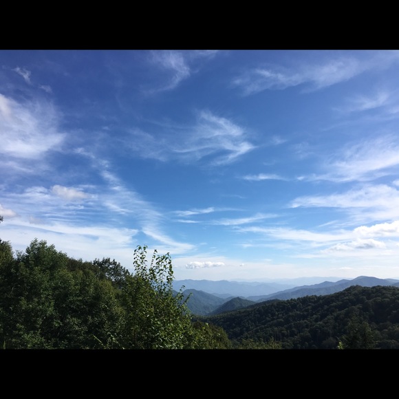 Meet your Posher, Hannah - Picture 1 of 1